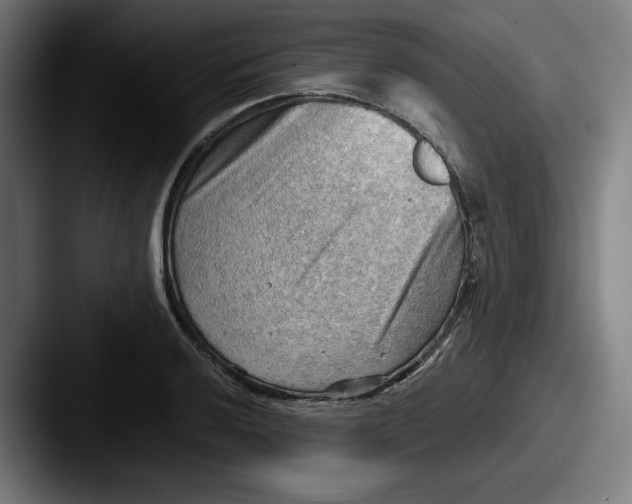 X0000087591032200705181215