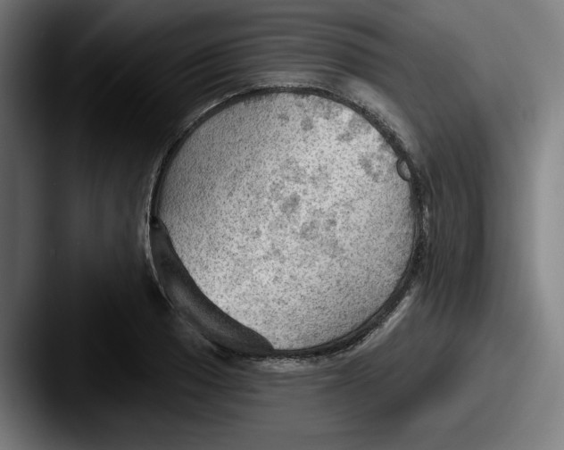 X0000087591033200705181215