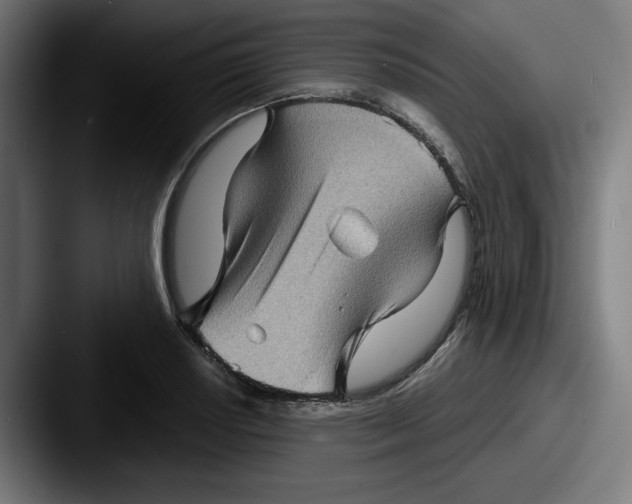 X0000087591034200705181215