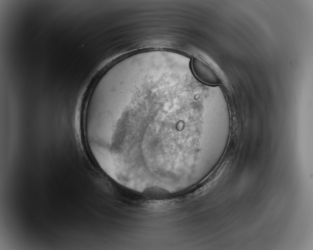 X0000087591035200705181215