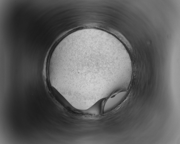 X0000087591036200705181215