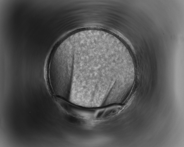 X0000087591037200705181215