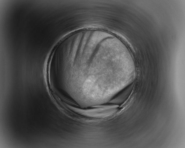 X0000087591038200705181215