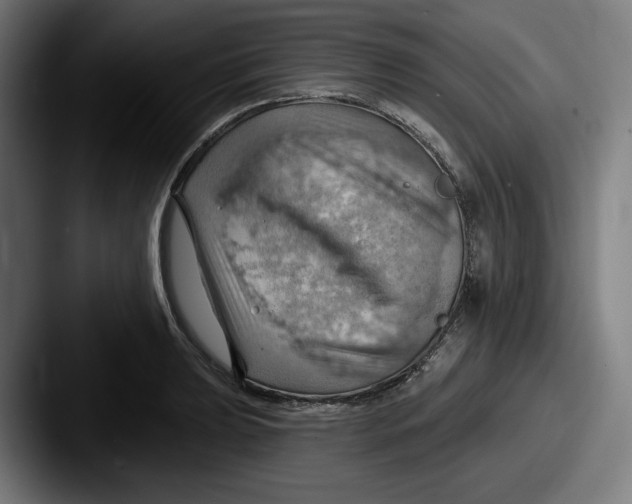 X0000087591039200705181215