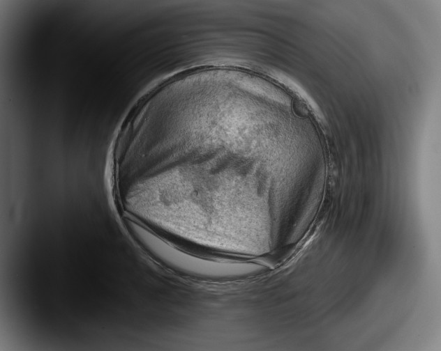 X0000087591040200705181215