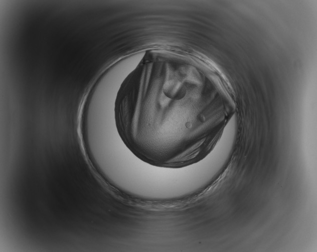 X0000087591042200705181215