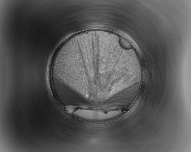 X0000087591043200705181215