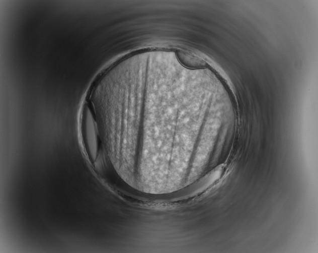 X0000087591045200705181215