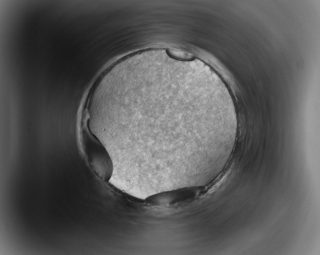 X0000087591048200705181215