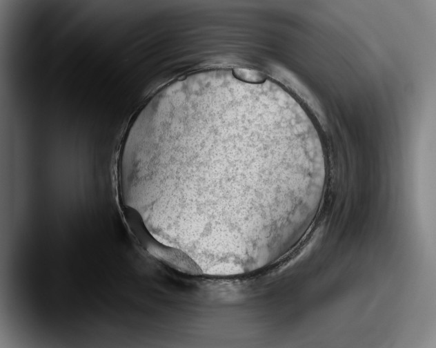 X0000087591049200705181215