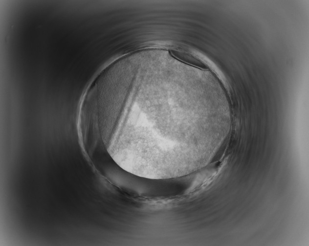 X0000087591050200705181215