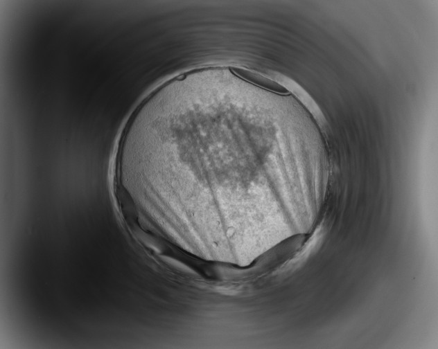 X0000087591052200705181215