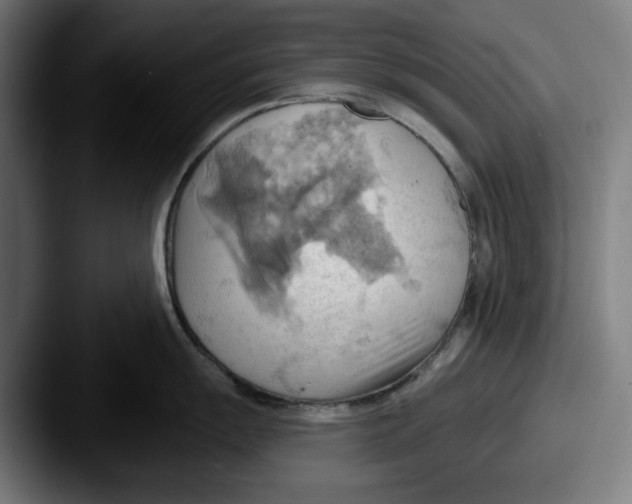 X0000087591055200705181215