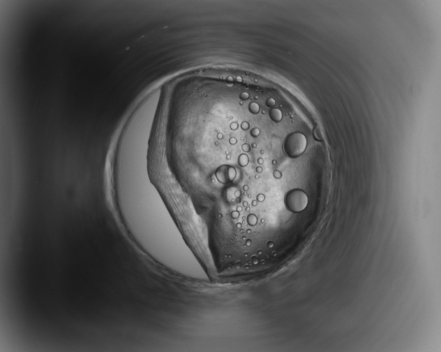 X0000087591056200705181215