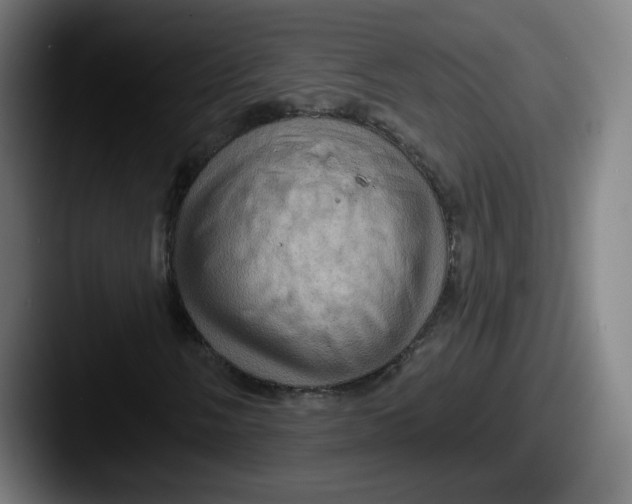 X0000087591058200705181215