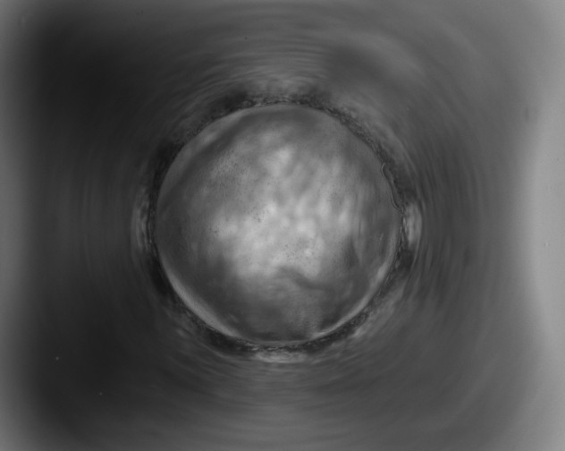 X0000087591059200705181215