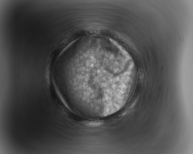 X0000087591060200705181215