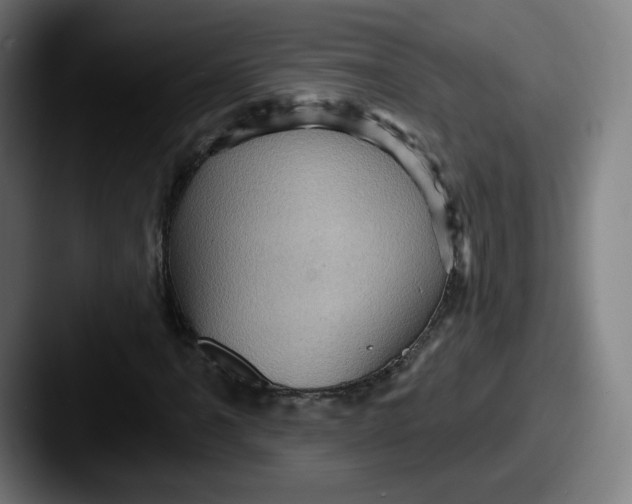 X0000087591061200705181215