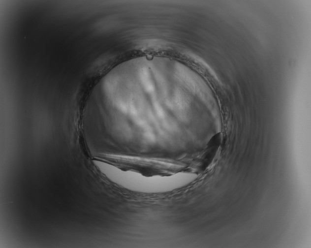 X0000087591063200705181215