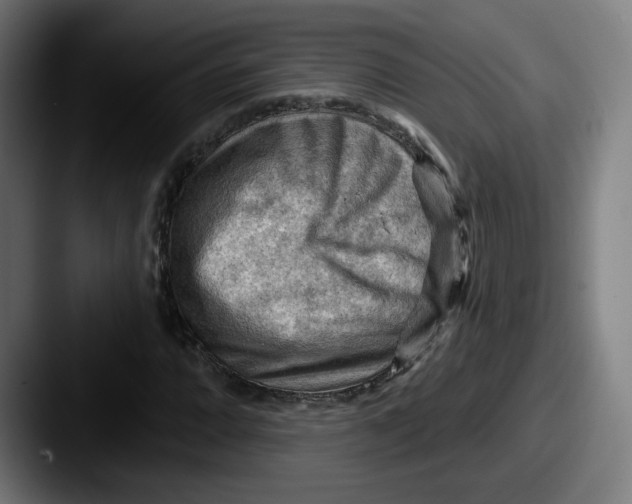 X0000087591064200705181215