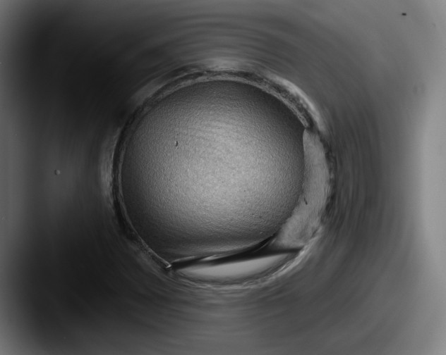 X0000087591065200705181215