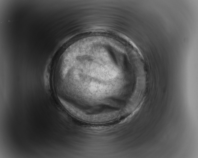 X0000087591066200705181215