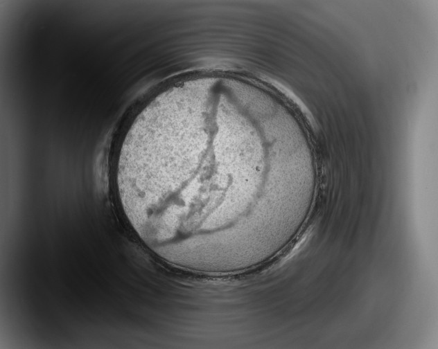 X0000087591067200705181215