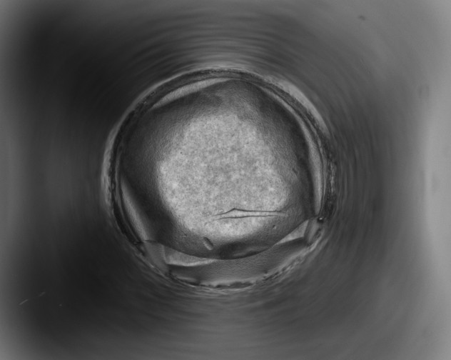 X0000087591068200705181215