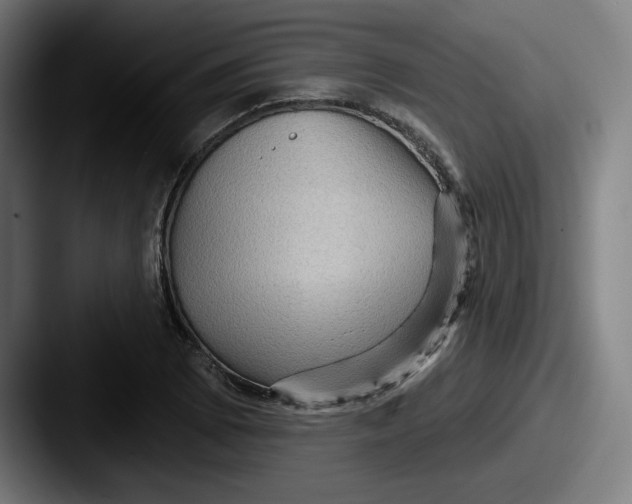 X0000087591073200705181215