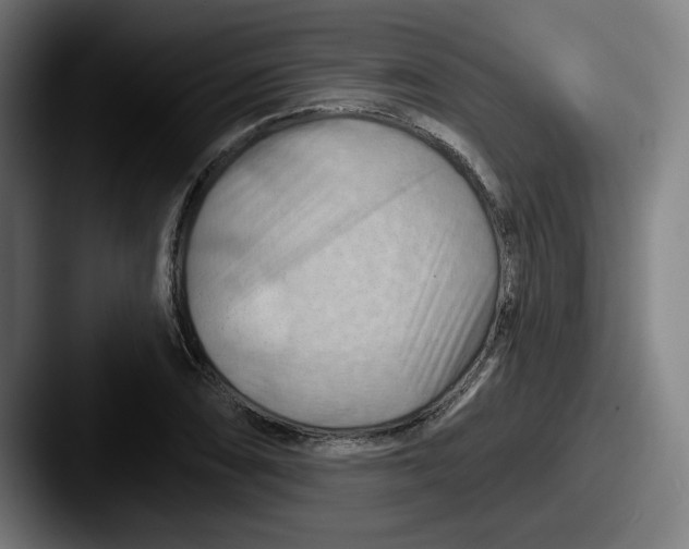 X0000087591074200705181215