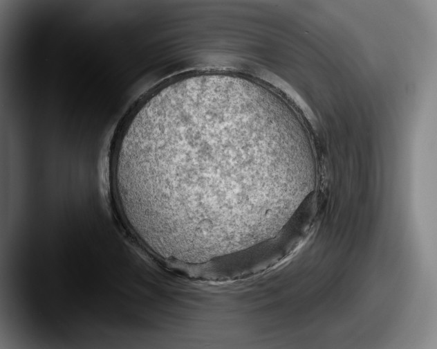 X0000087591075200705181215