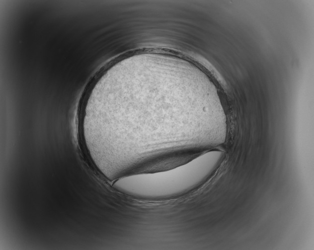 X0000087591076200705181215