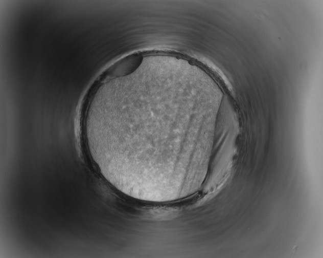 X0000087591077200705181215