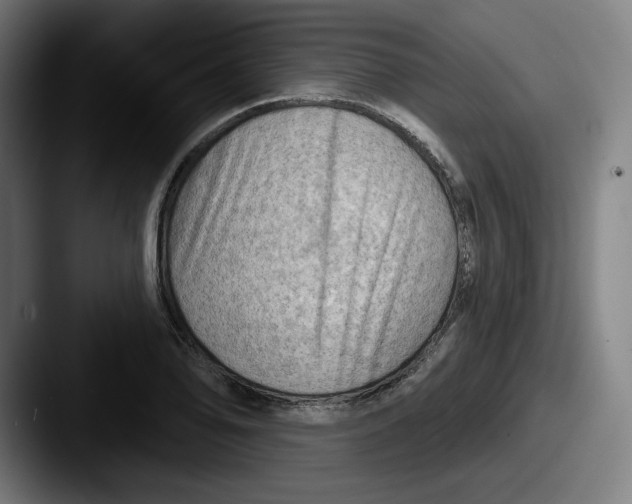 X0000087591078200705181215