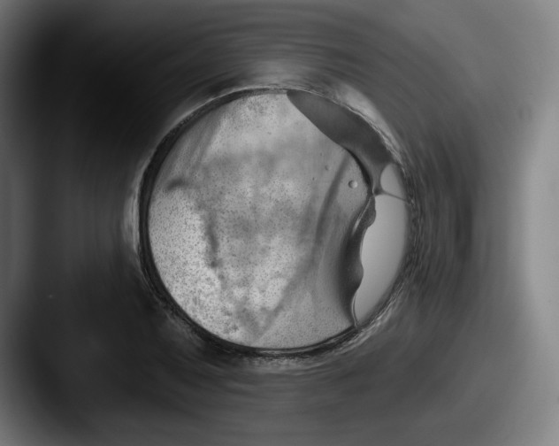 X0000087591079200705181215