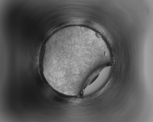 X0000087591081200705181215