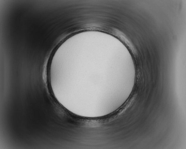 X0000087591082200705181215