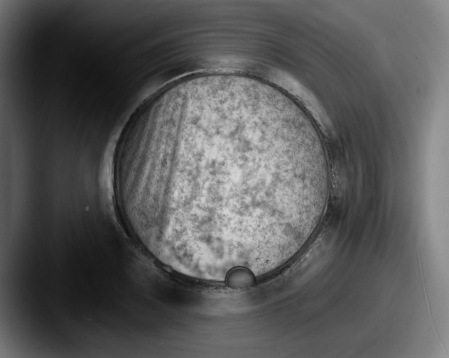 X0000087591083200705181215