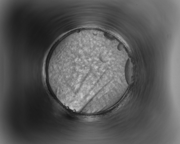 X0000087591084200705181215