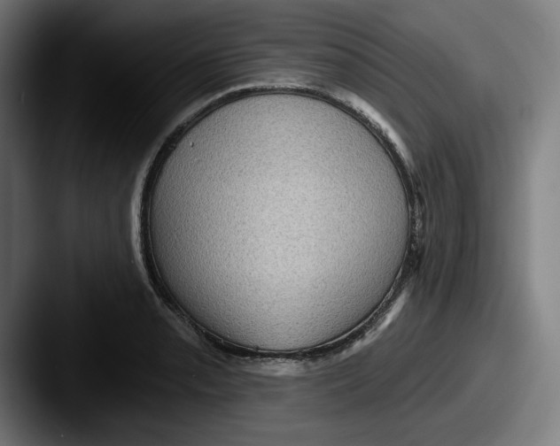 X0000087591085200705181215