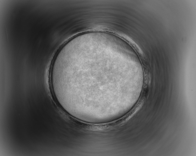 X0000087591086200705181215