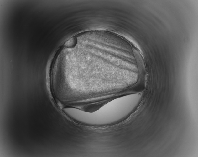 X0000087591088200705181215