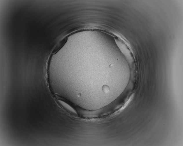 X0000087591089200705181215