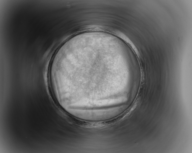 X0000087591090200705181215