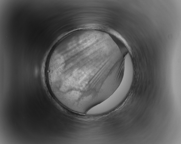 X0000087591091200705181215