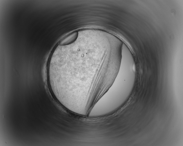 X0000087591092200705181214