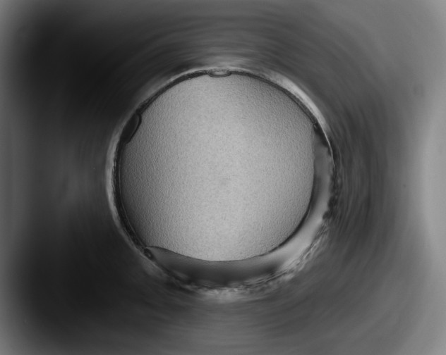 X0000087591093200705181214