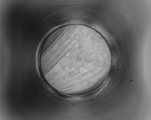 X0000087591094200705181214