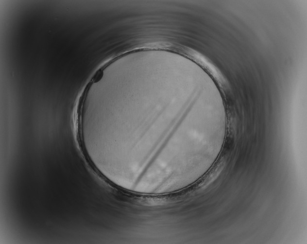 X0000087591095200705181214