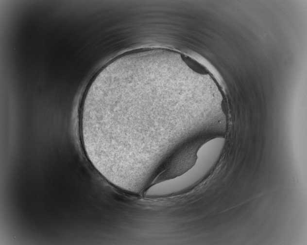 X0000087591096200705181214